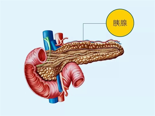 【世界胰腺癌日】關(guān)注胰腺癌，讓愛看得見